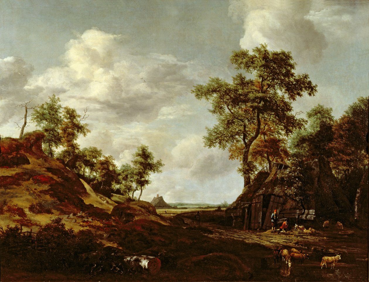 Imagen desconocida de Jacob van Ruisdael