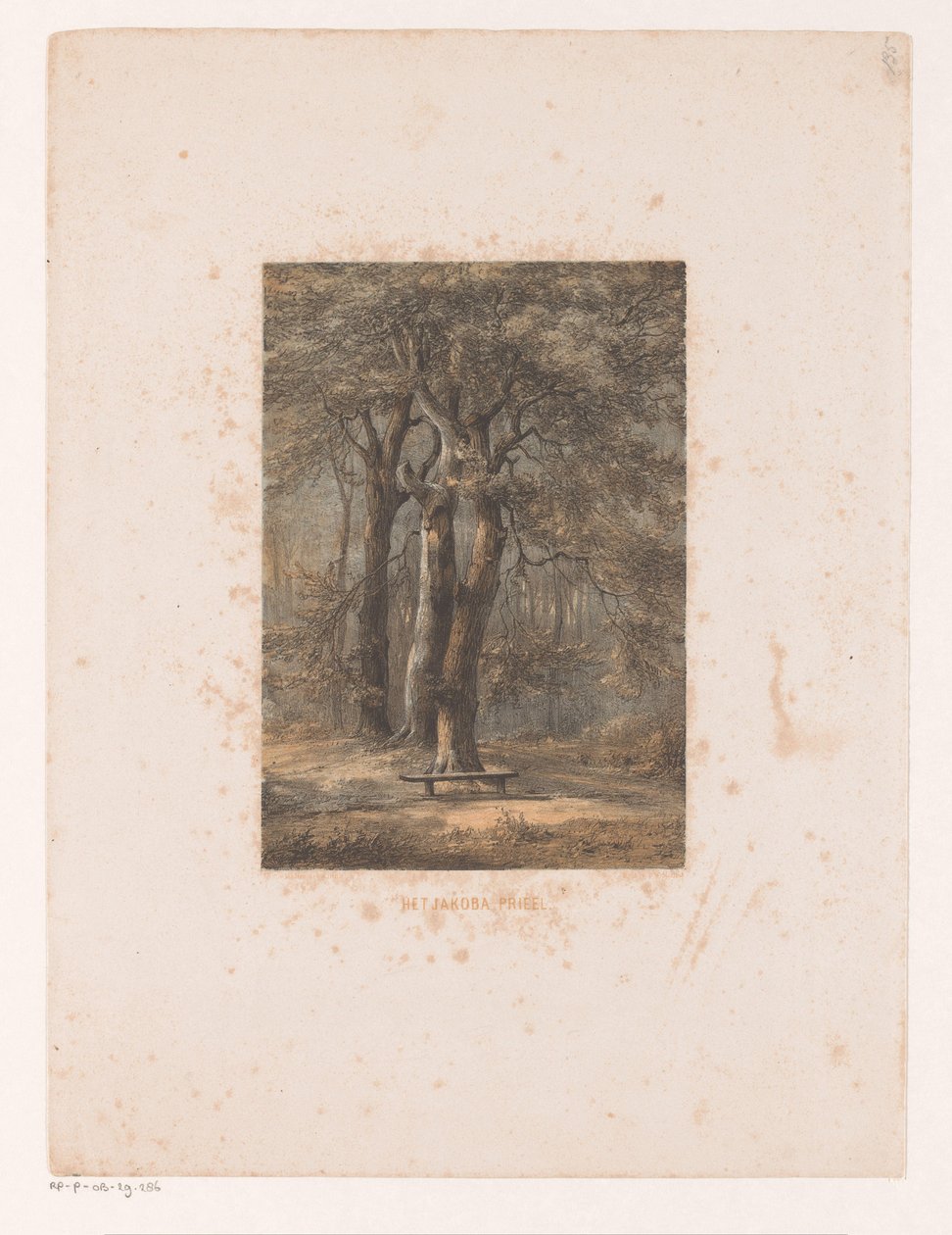 Jacoba arbor
El cenador de Jacoba (título en el objeto) de Jacob Jan van der Maaten