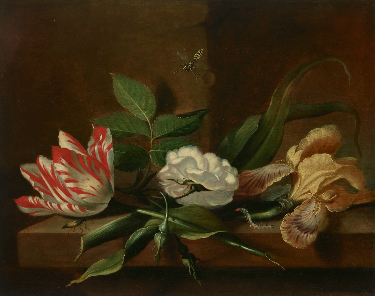 Un tulipán loro, una rosa, un iris e insectos sobre una mesa de madera de Jacob Marrel