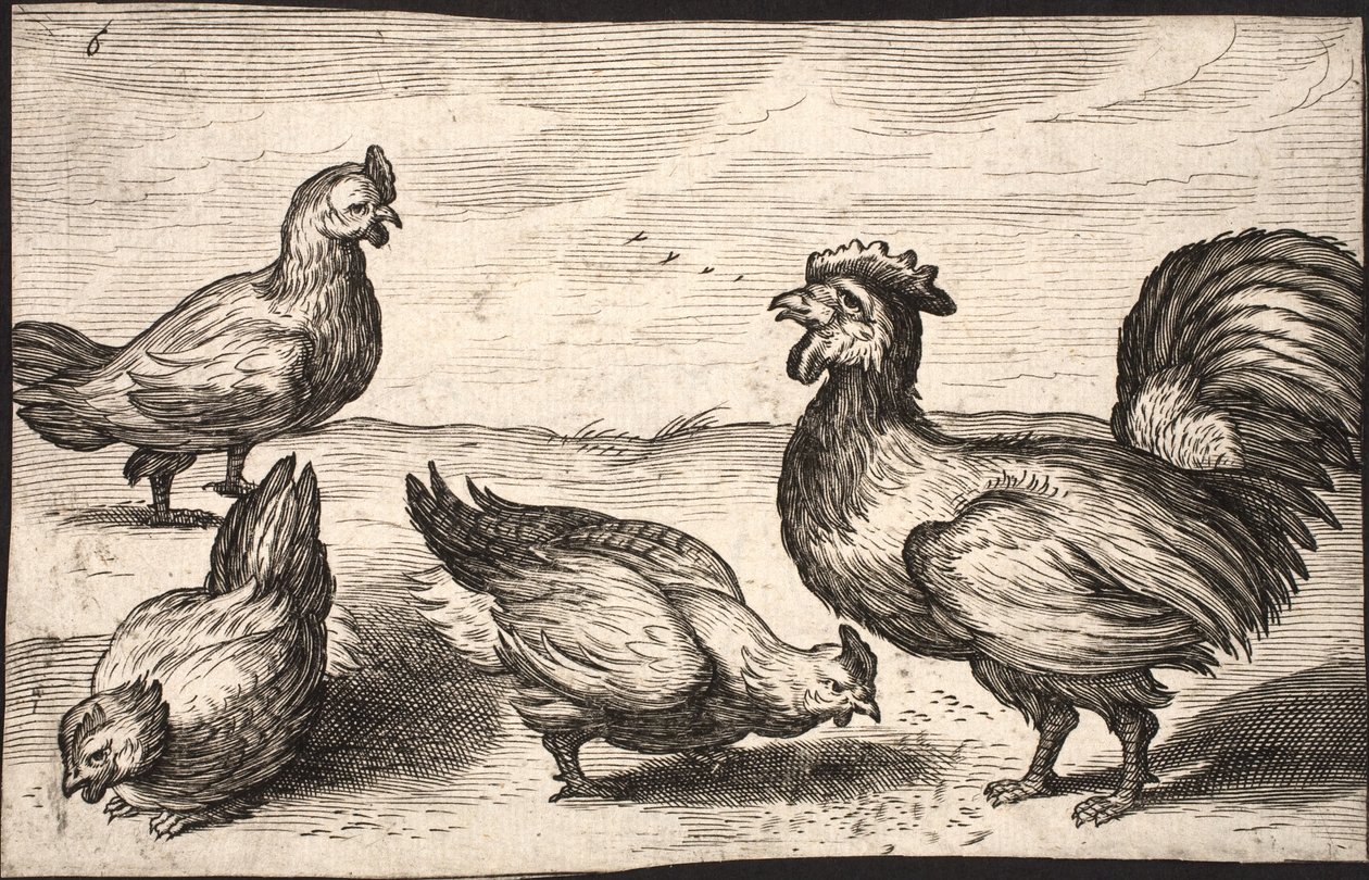 Un gallo con tres gallinas de Jacob Matham