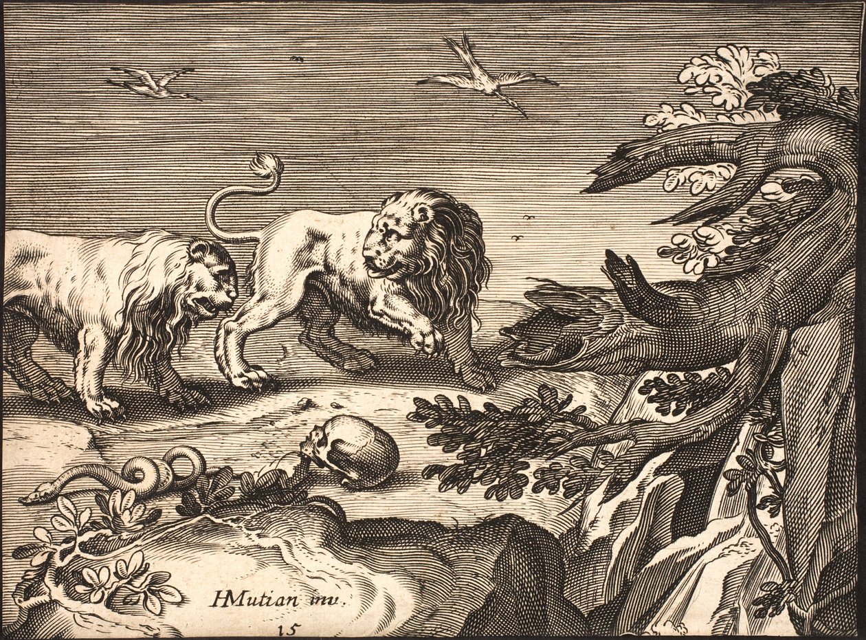 Dos leones en la naturaleza de Jacob Matham