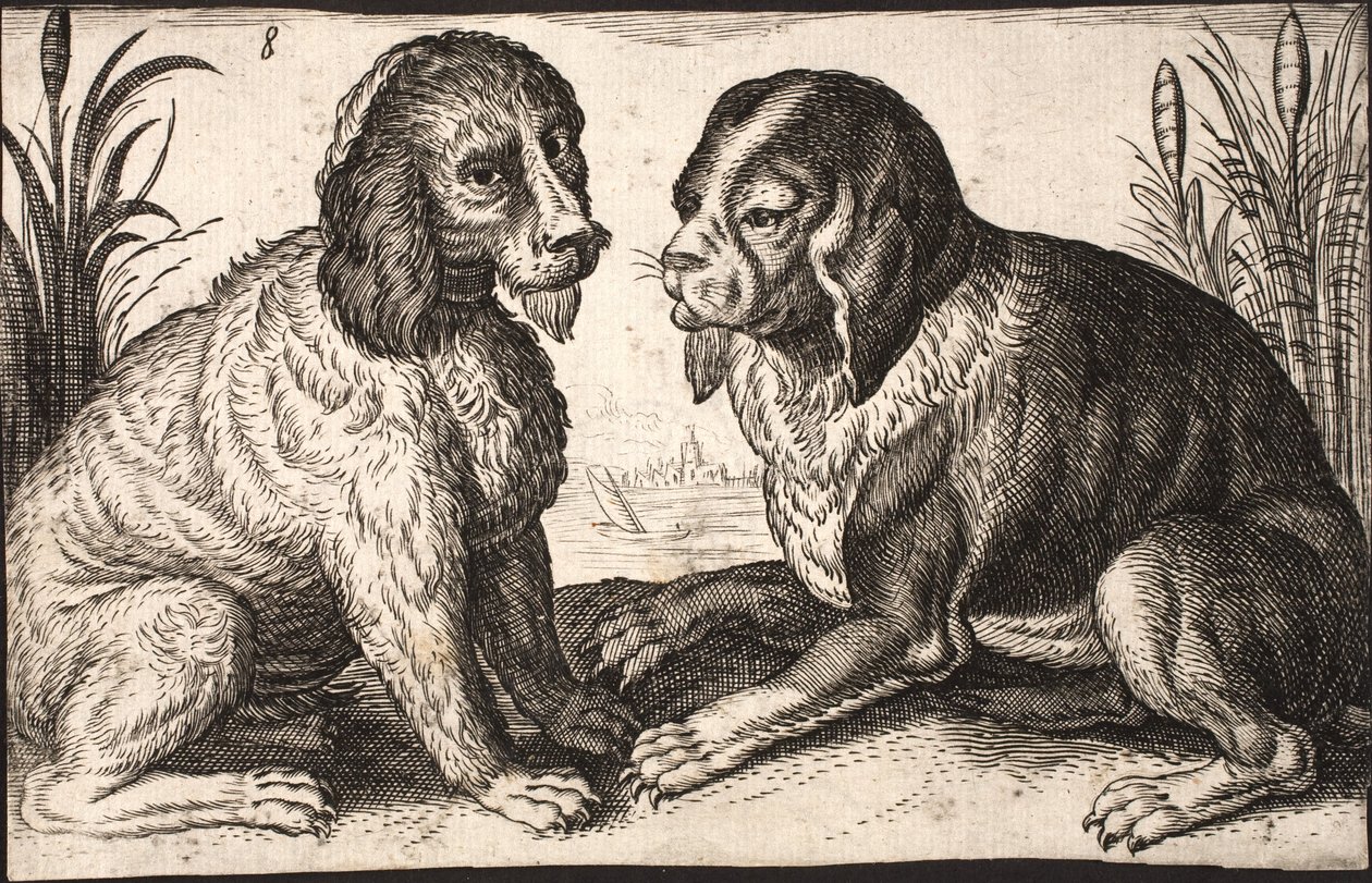 Dos perros junto a un lago de Jacob Matham