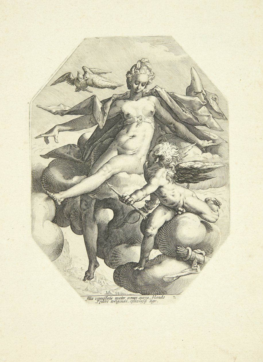 Venus y Cupido de Jacob Matham