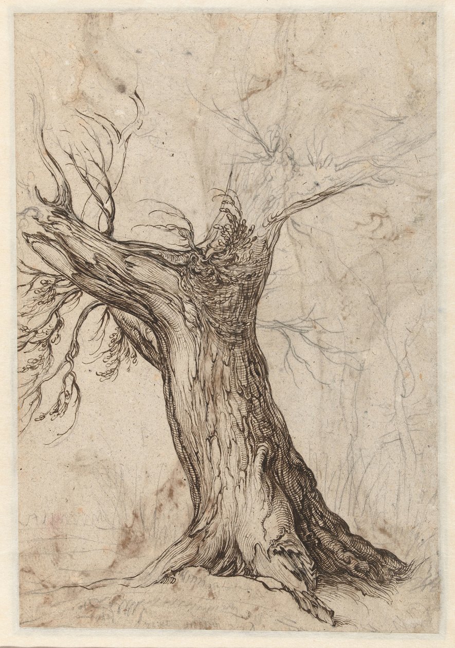 Castaño con algunos árboles alrededor de Jacob de Gheyn (II)