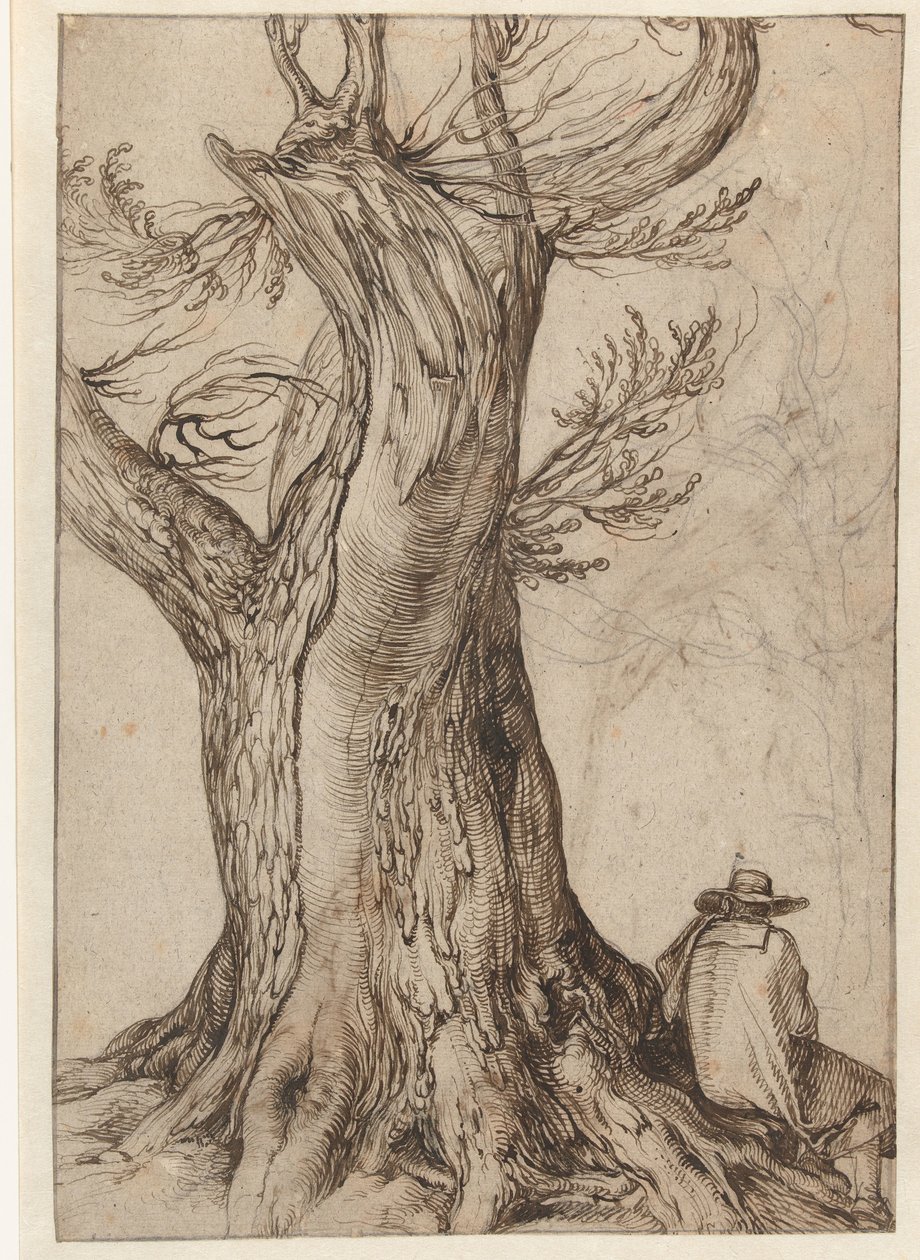 Estudio de un tronco de árbol
Castaño con hombre sentado en las raíces de Jacob de Gheyn (II)