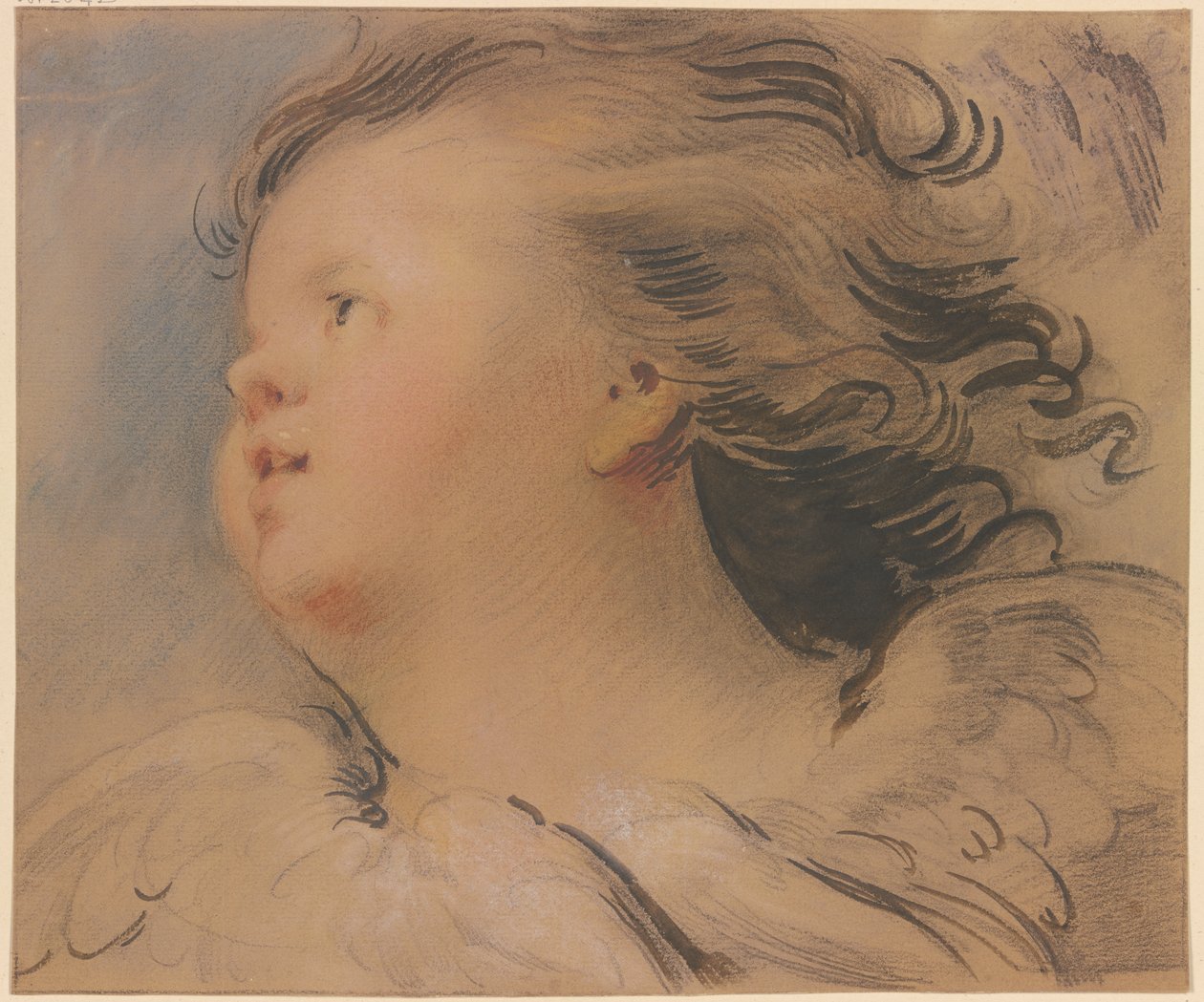 Cabeza de ángel hacia la izquierda de Jacob de Wit