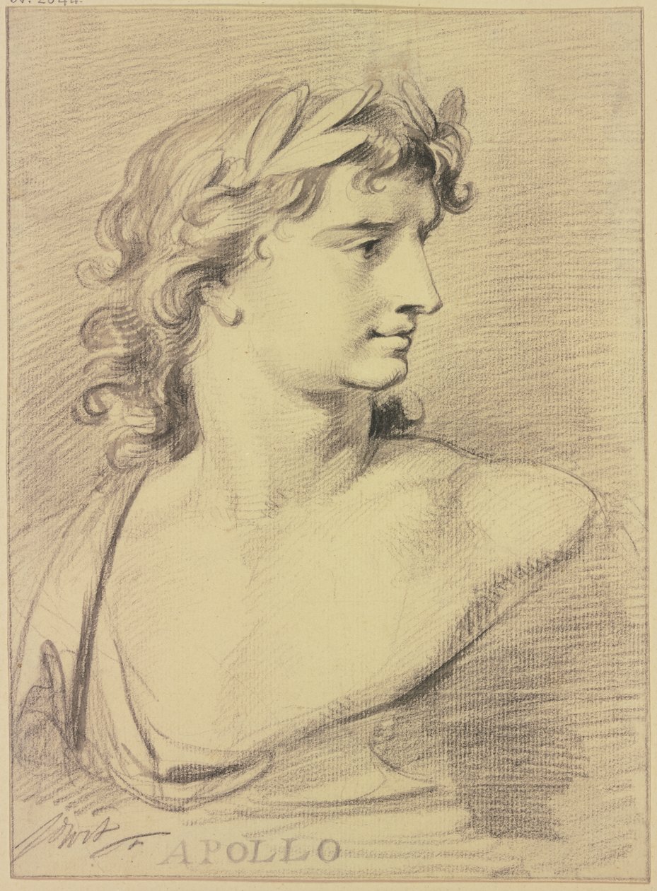 Busto de Apolo de Jacob de Wit