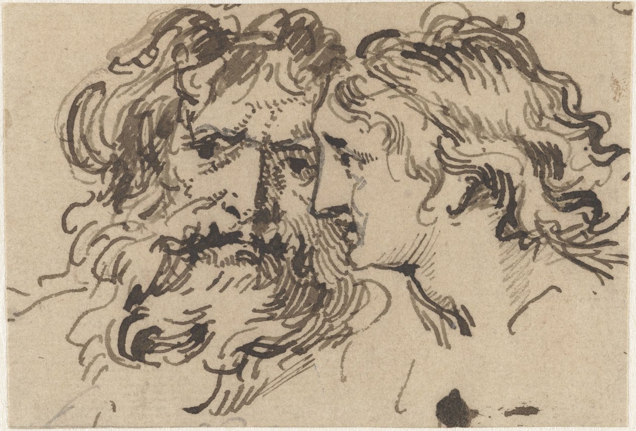Cabeza de un anciano y una joven de Jacob de Wit
