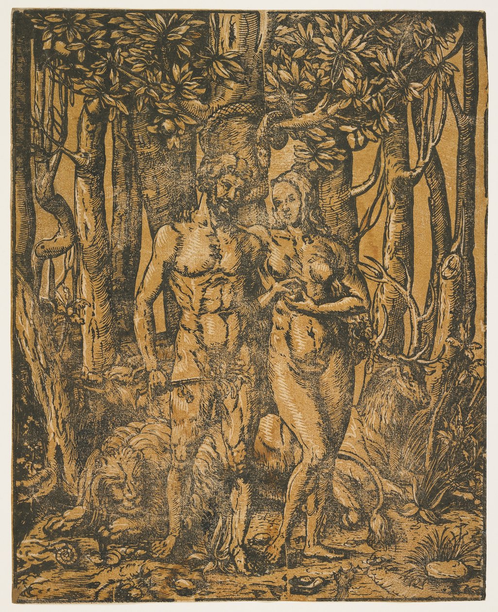 Adán y Eva, siglo XVI de Jacob the Elder attr. to Lucius