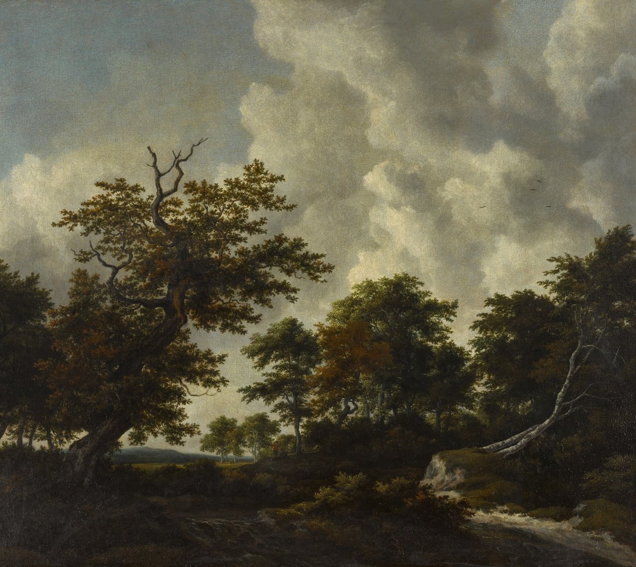 Paisaje boscoso con un gran roble y dos hayas caídas junto a una cascada de Jacob van Ruisdael