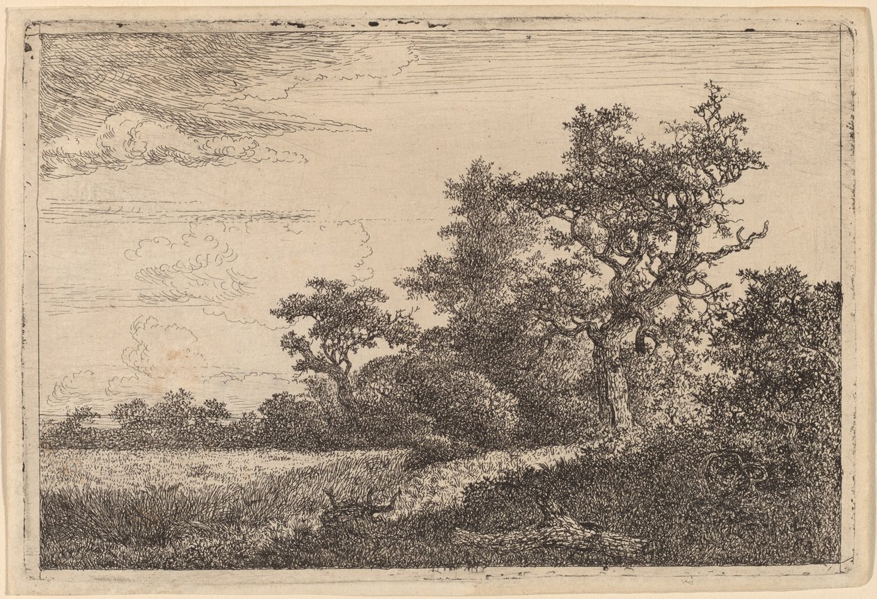 Campo de grano al borde de un bosque de Jacob van Ruisdael