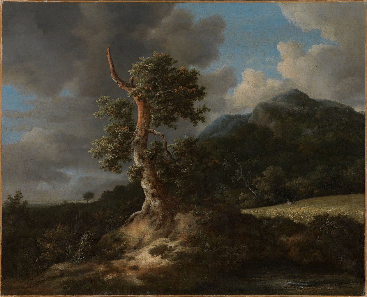 Paisaje montañoso con un roble derribado de Jacob van Ruisdael