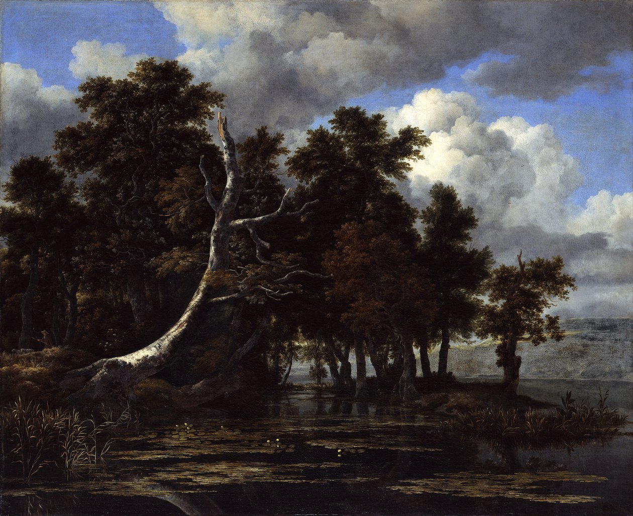 Robles en un lago con nenúfares de Jacob van Ruisdael