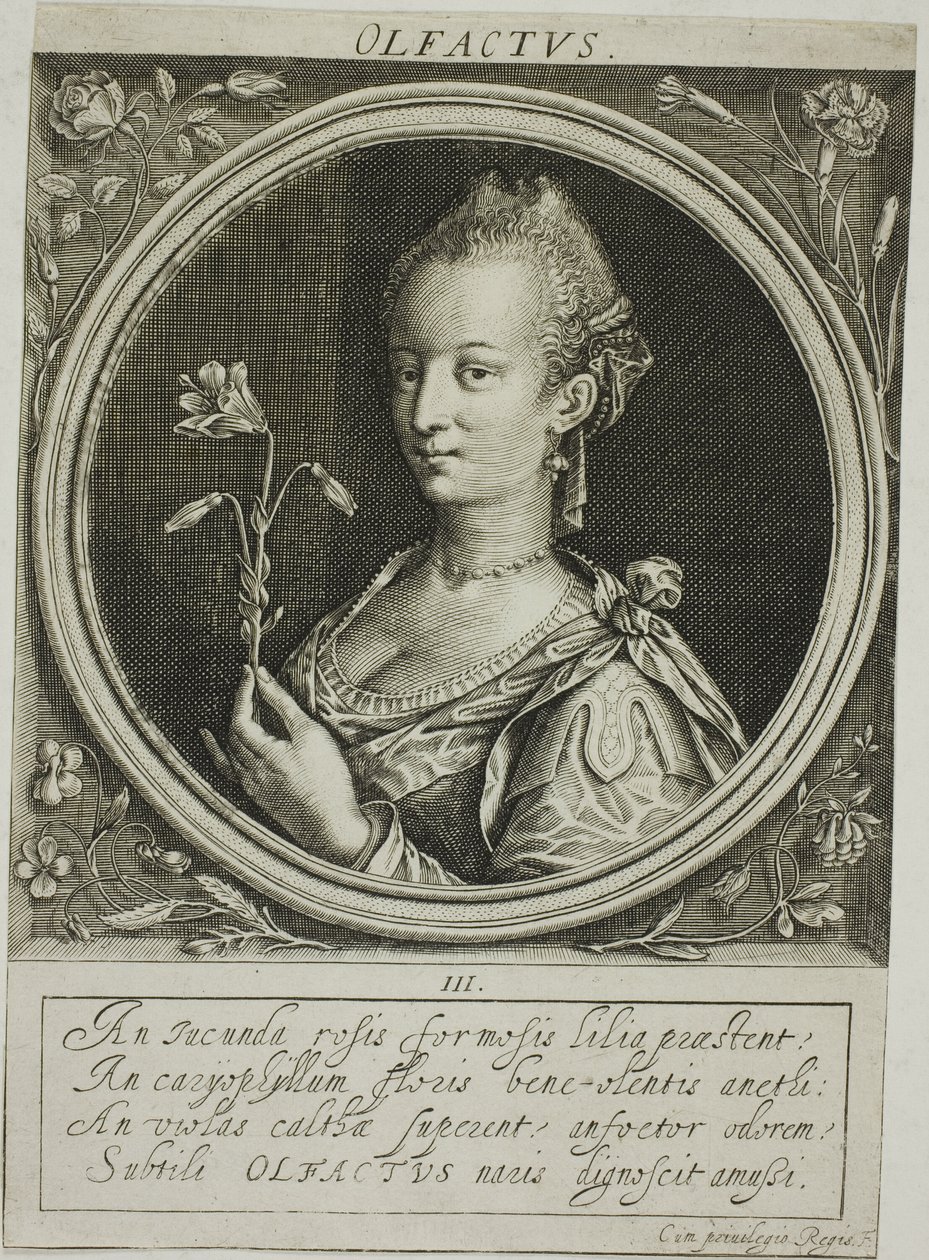 Olfato, plato tres de Los cinco sentidos de Jacob van der Heyden