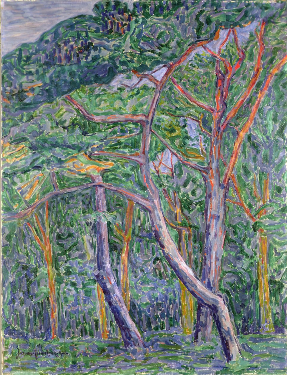 Pinos de Jacoba van Heemskerck