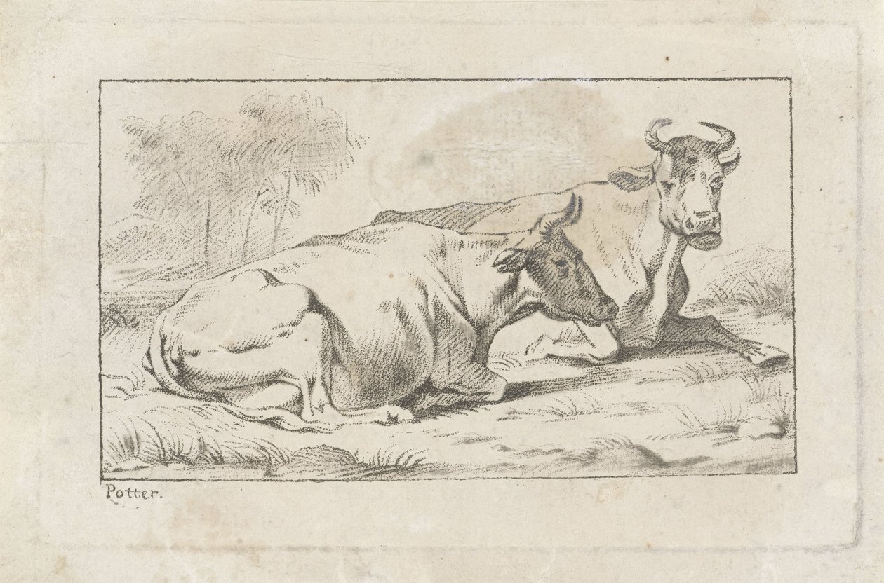 Dos vacas mentirosas de Jacobus Buys