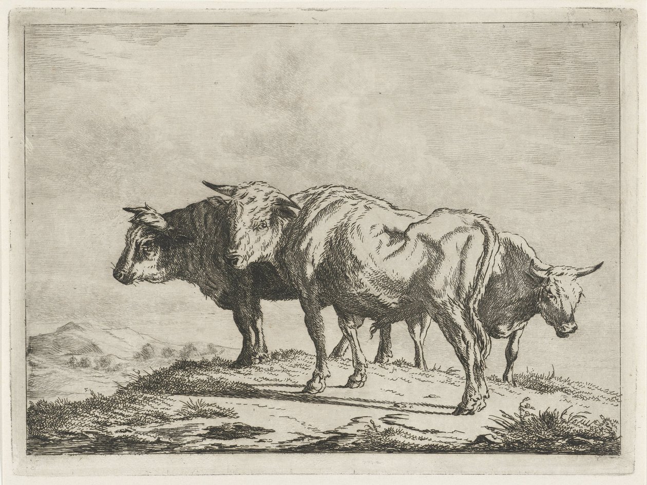 tres bueyes de Jacobus Cornelis Gaal