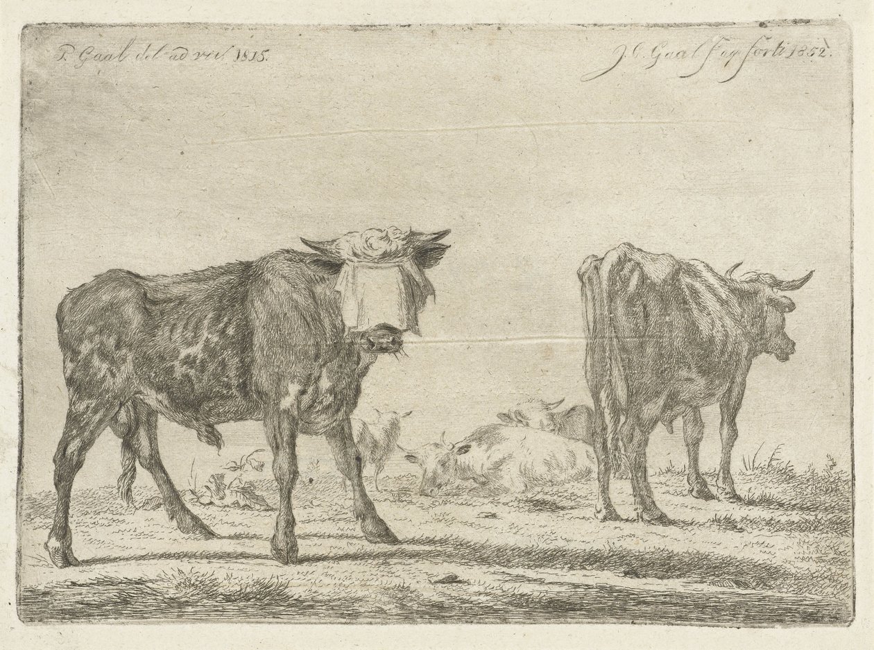 Toro con los ojos vendados con rebaño de ganado de Jacobus Cornelis Gaal