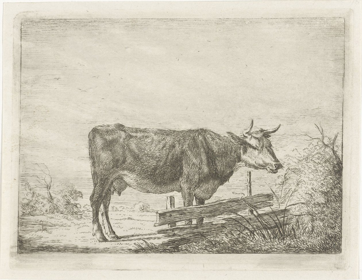 Vaca de pie junto a una valla de Jacobus Cornelis Gaal