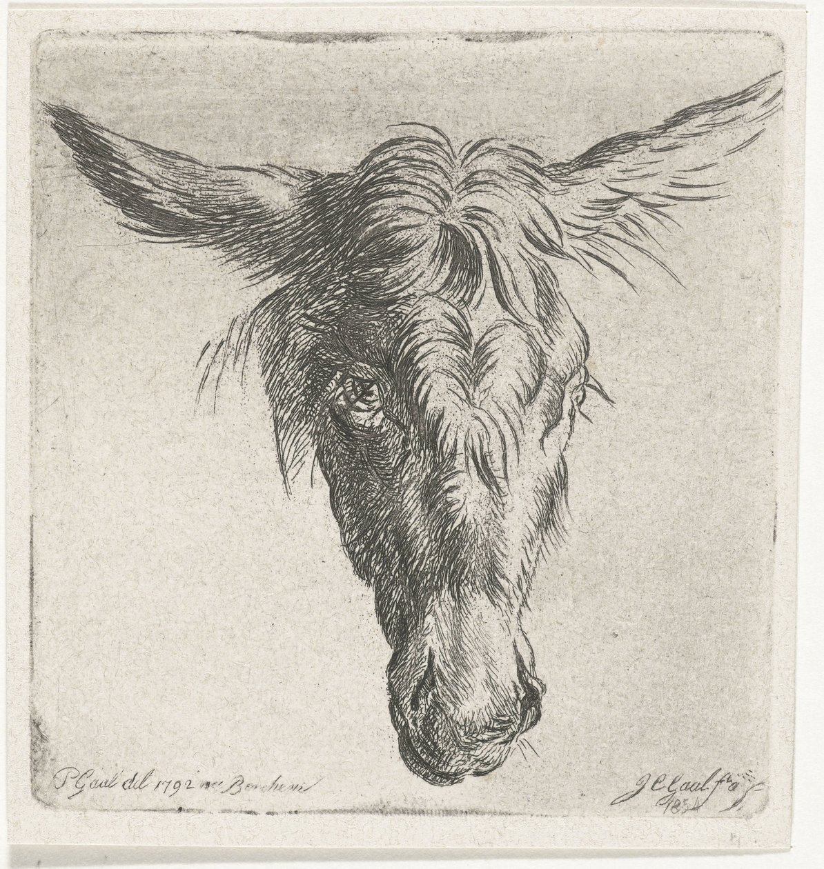 cabeza de burro de Jacobus Cornelis Gaal
