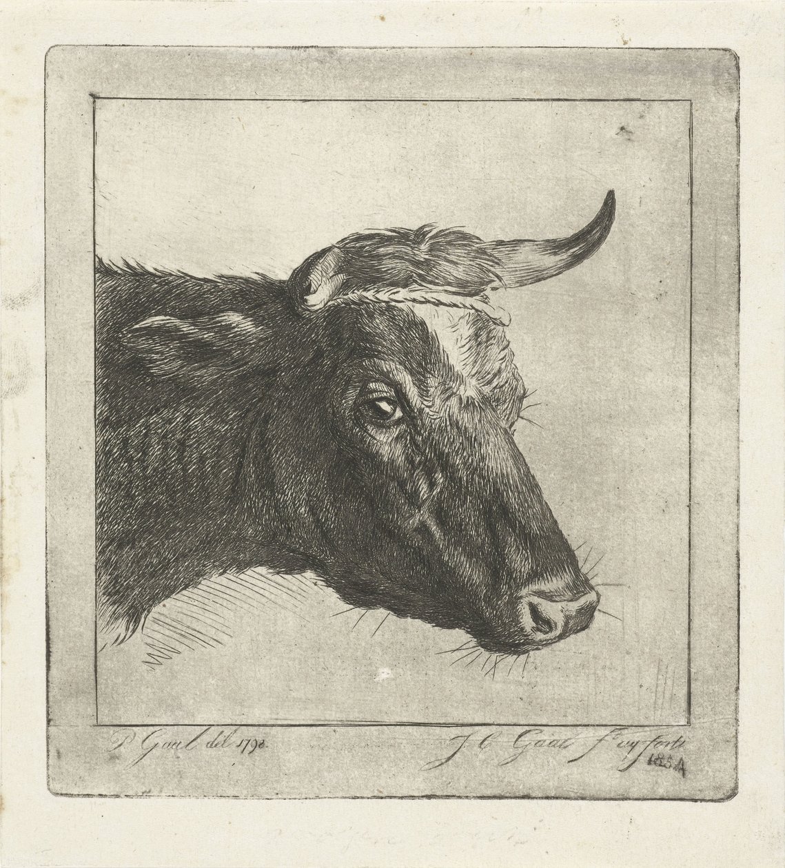 Cabeza de vaca con cuerda alrededor de los cuernos de Jacobus Cornelis Gaal