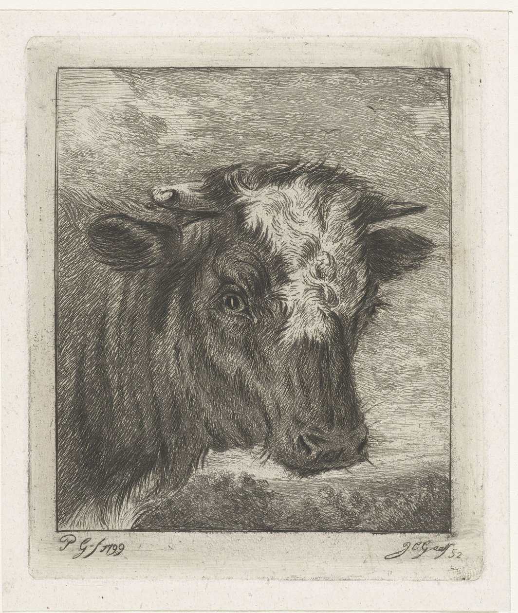 Cabeza de vaca con col blanca de Jacobus Cornelis Gaal