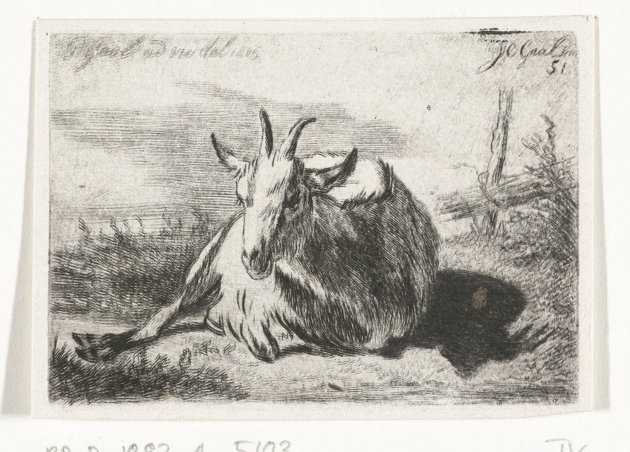 Cabra tumbada, a la izquierda de Jacobus Cornelis Gaal