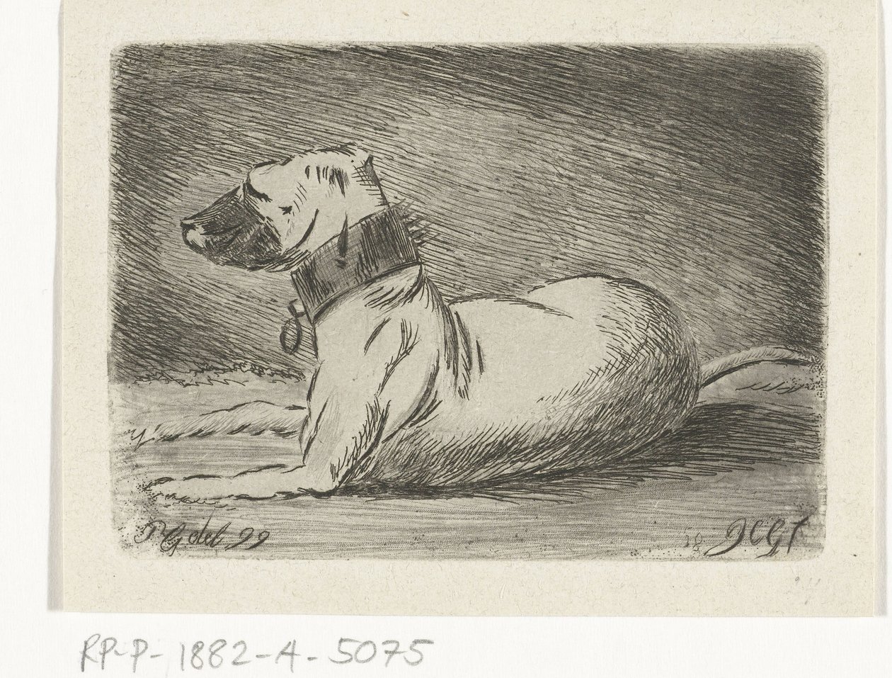 Perro reclinable con collar de Jacobus Cornelis Gaal
