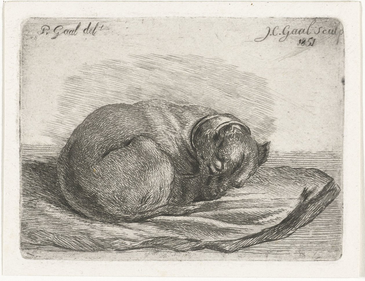 Perro durmiendo, acostado sobre una manta de Jacobus Cornelis Gaal
