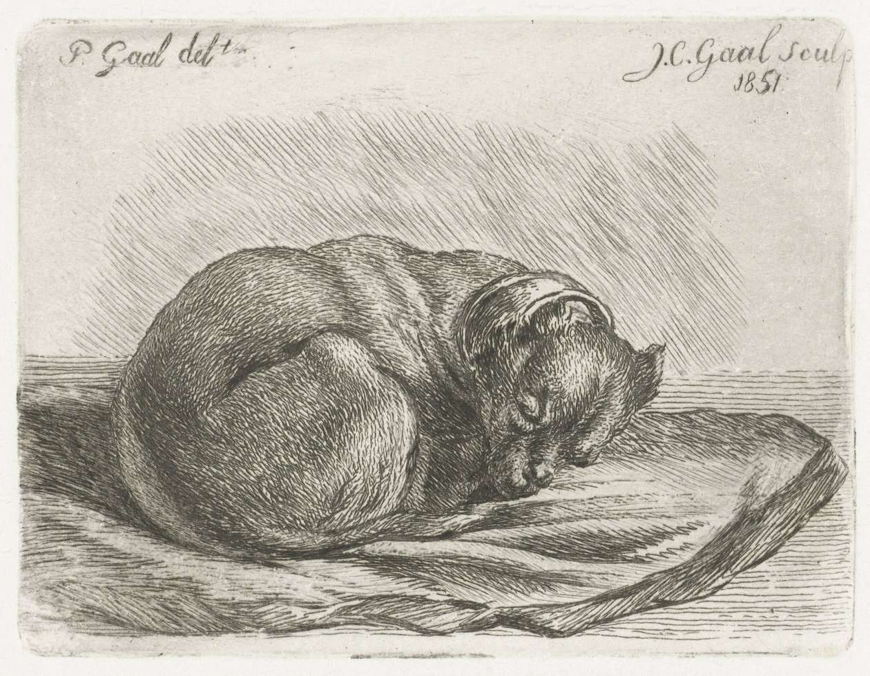 Perro durmiendo, acostado sobre una manta de Jacobus Cornelis Gaal