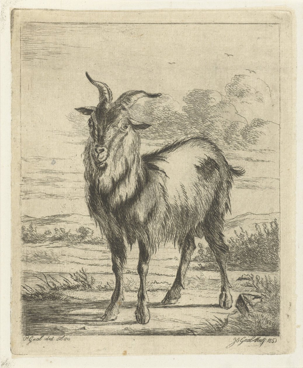 cabra de pie de Jacobus Cornelis Gaal