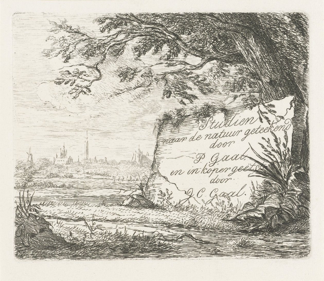 Imagen de título para: Estudios extraídos de la naturaleza de Jacobus Cornelis Gaal