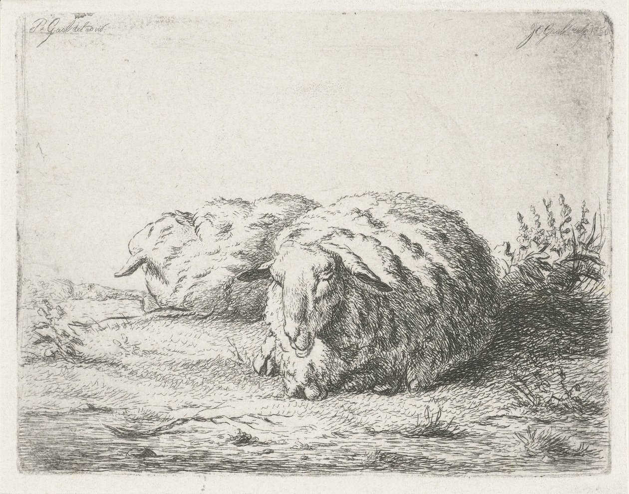 Dos ovejas mentirosas de Jacobus Cornelis Gaal