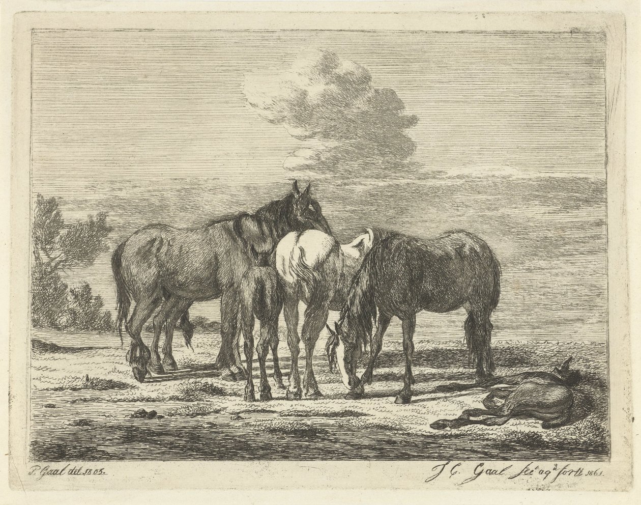 Cuatro caballos y dos potros de Jacobus Cornelis Gaal