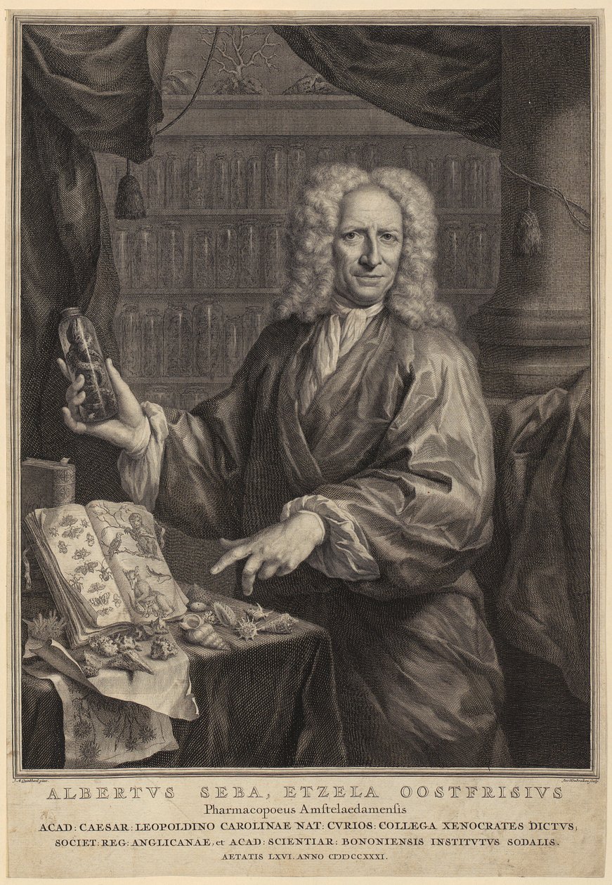 Retrato de Albert Seba, boticario y célebre coleccionista de historia natural de Jacobus Houbraken