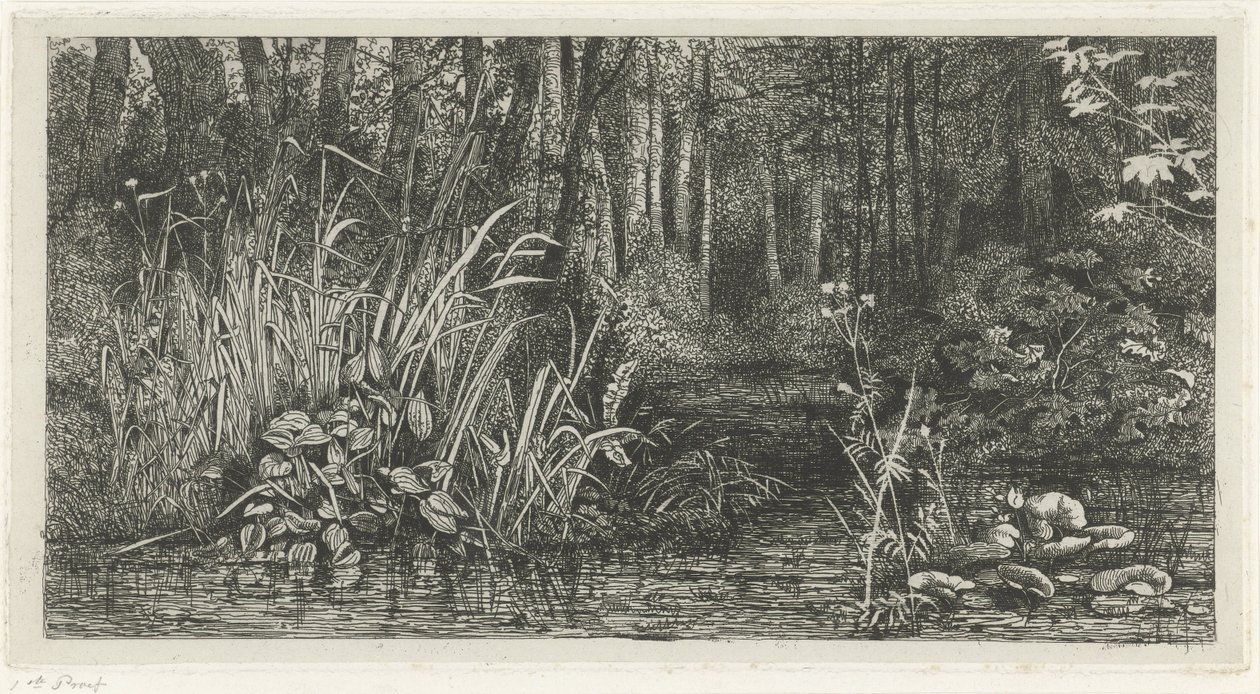 Bosbeekje de Jacobus Ludovicus Cornet