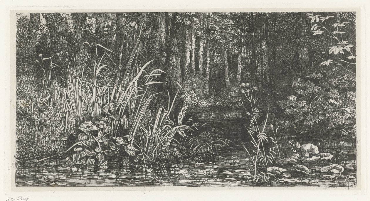 Bosbeekje de Jacobus Ludovicus Cornet