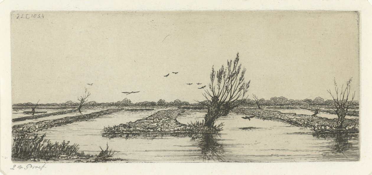 pantano de turba de Jacobus Ludovicus Cornet