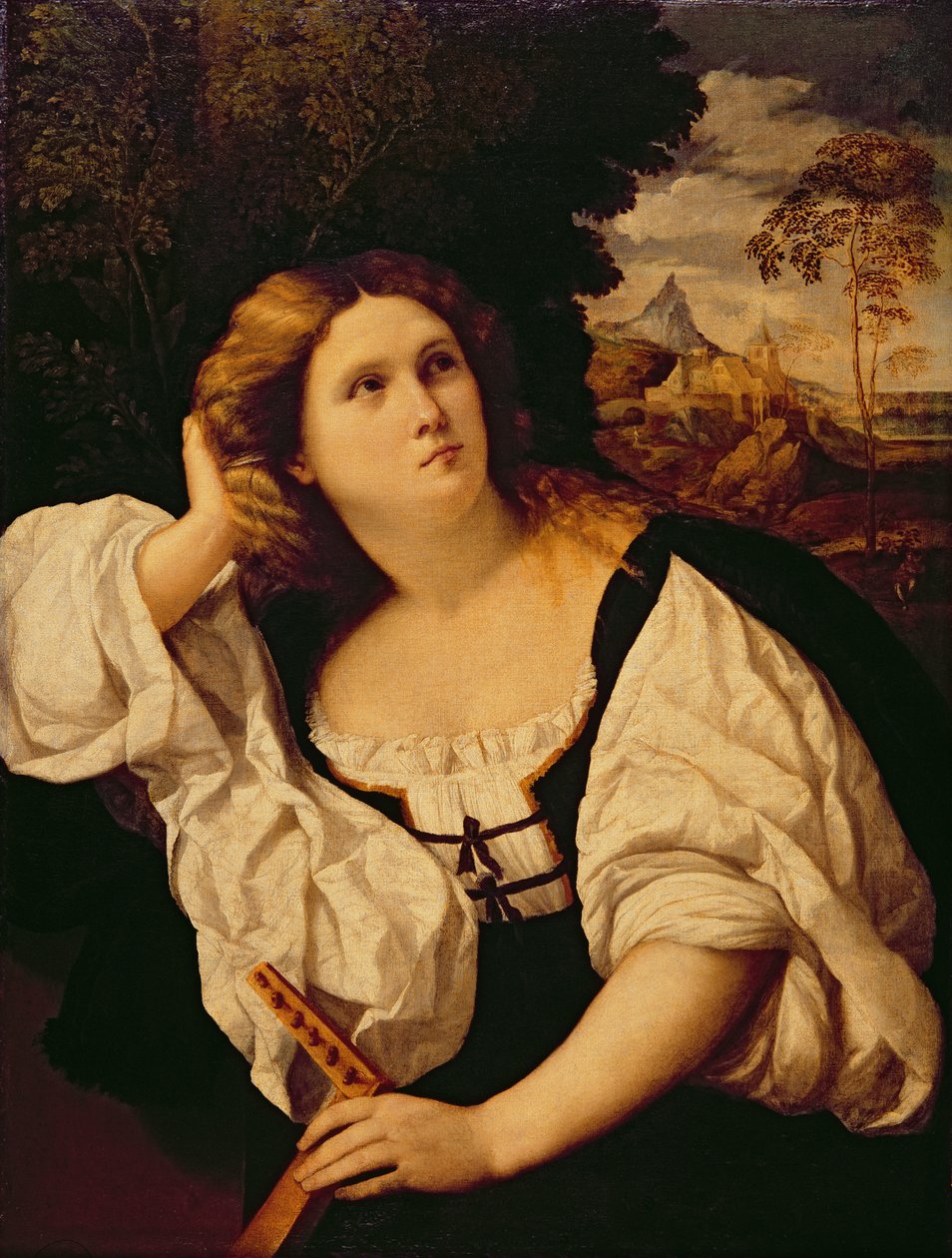 Dama con un Laúd, c.1520-25 de Jacopo Palma