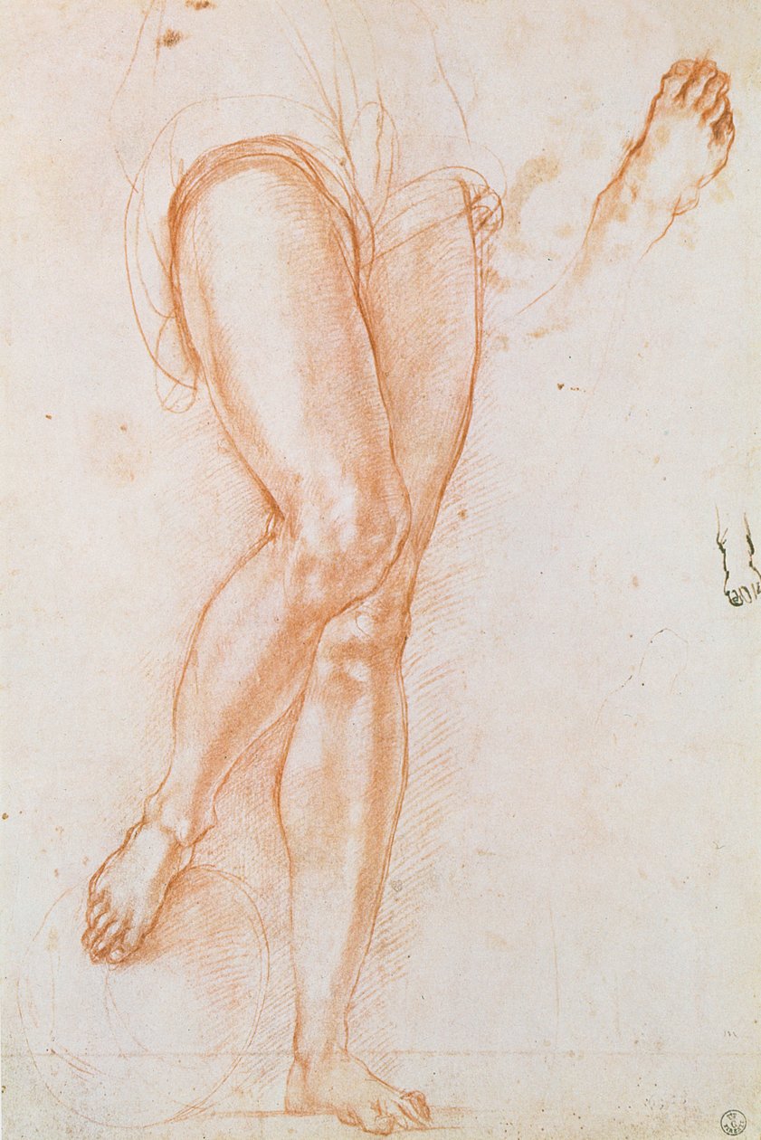 Estudio de un par de piernas y dos pies para una figura de San Miguel de Jacopo Pontormo