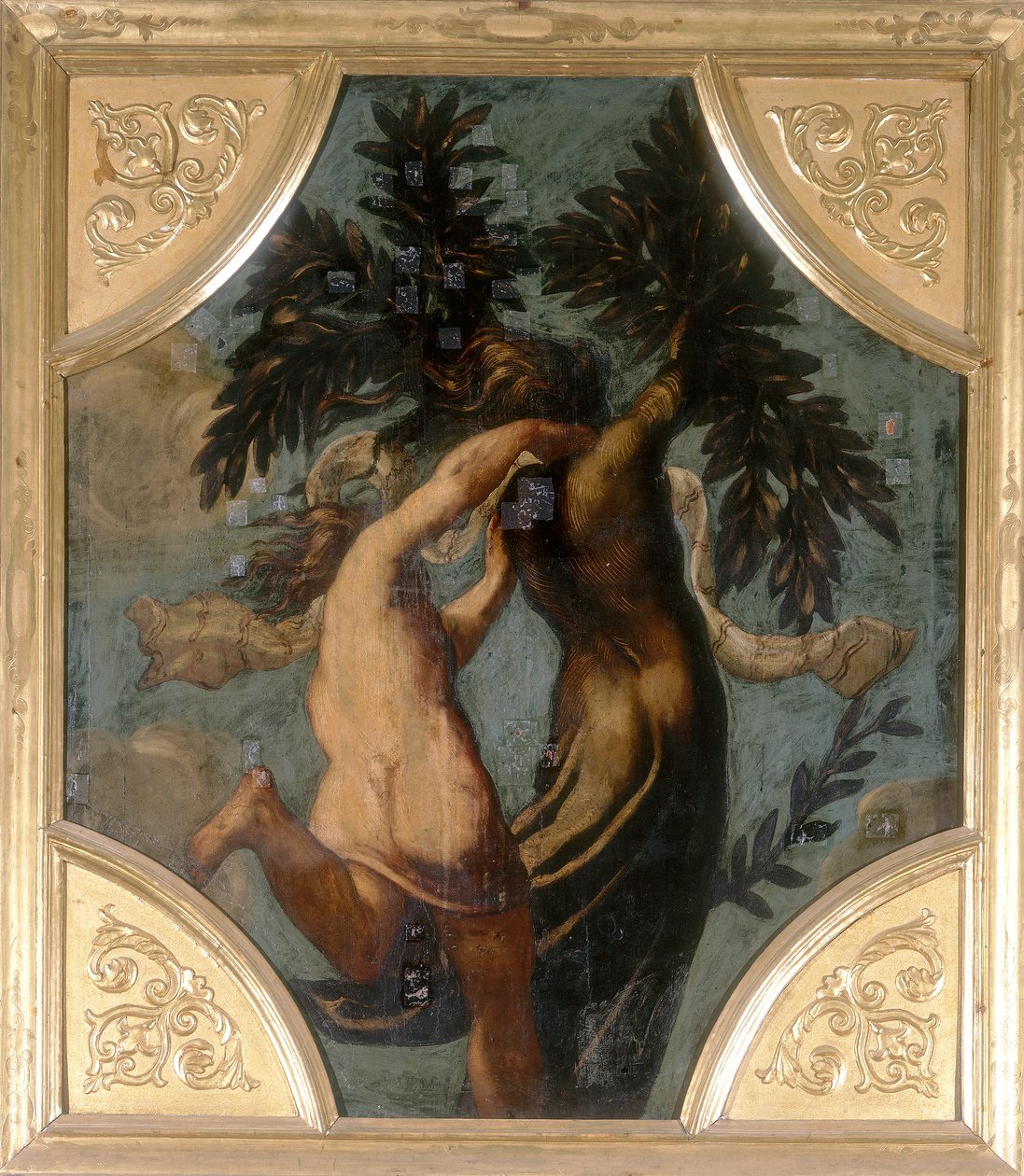 Apolo y Dafne, octágono de Jacopo Robusti Tintoretto