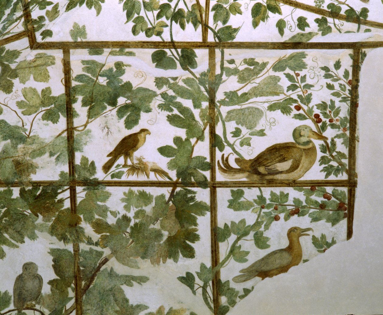 Fresco de un aviario en la Villa Medici, c.1576-77 de Jacopo Zucchi