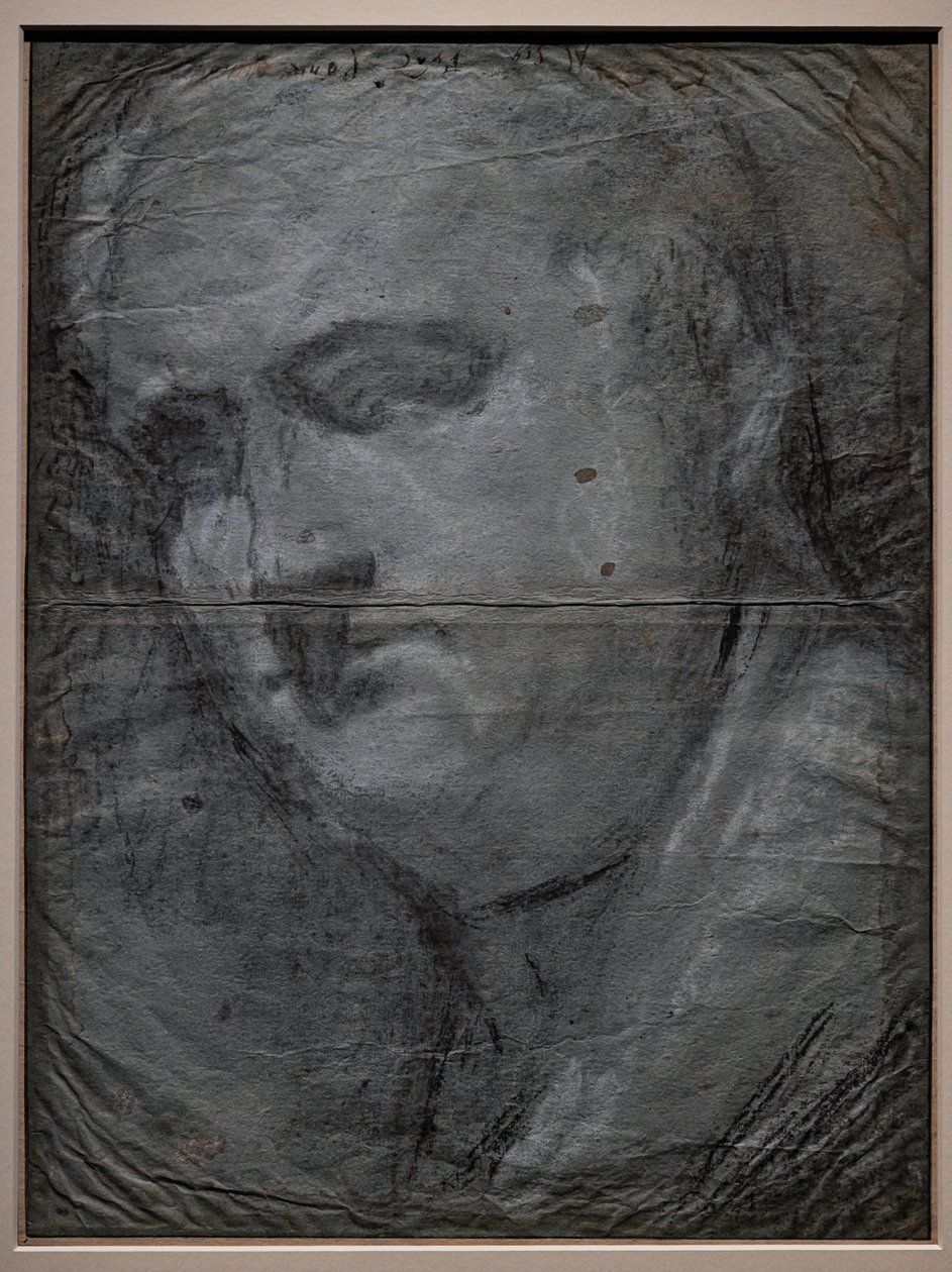 Retrato de Vitellio Grimani de Jacopo (1510 92) Bassano