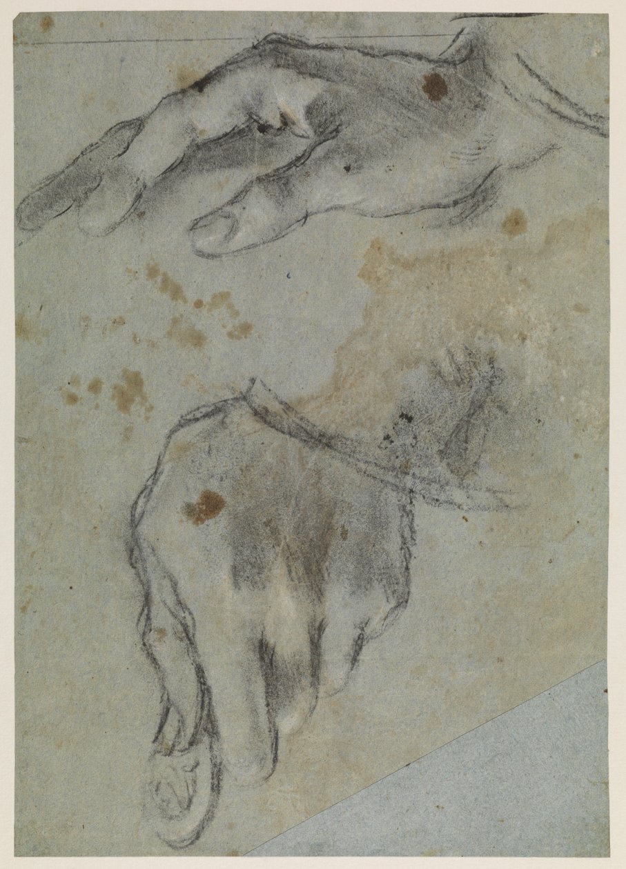 Estudios de manos, recto, siglo XVI de Jacopo Bassano