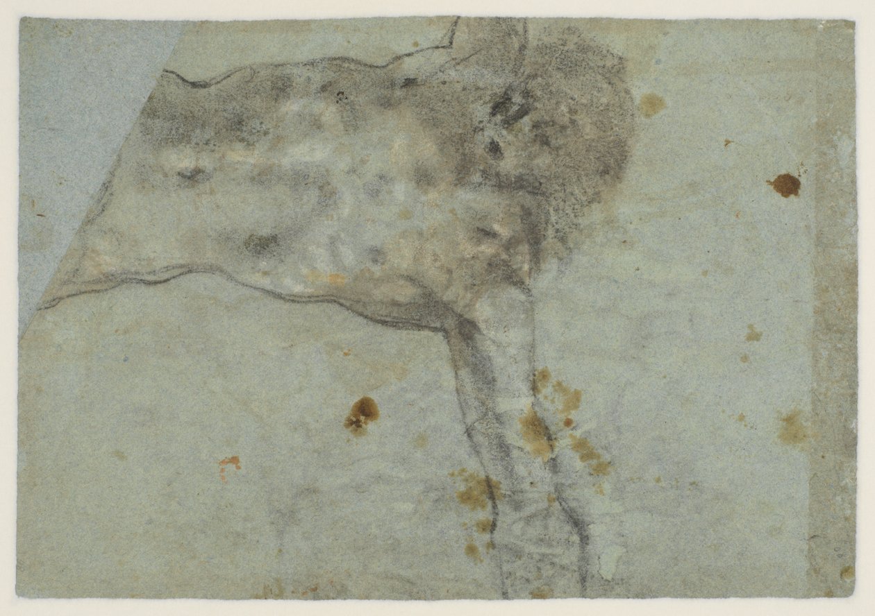 Estudio de un Cristo crucificado, verso, siglo XVI de Jacopo Bassano