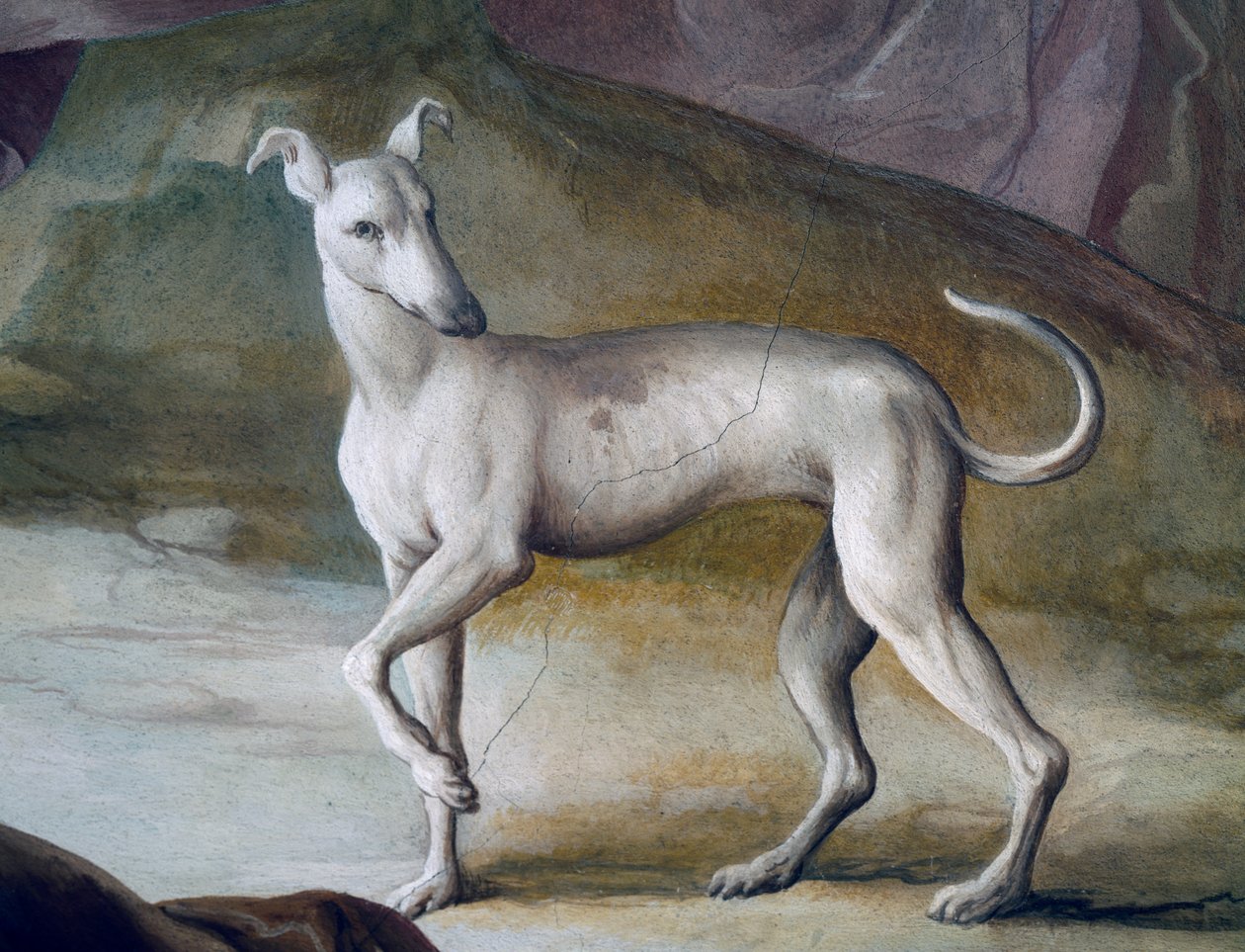 Perro (detalle) de Jacopo Guarana