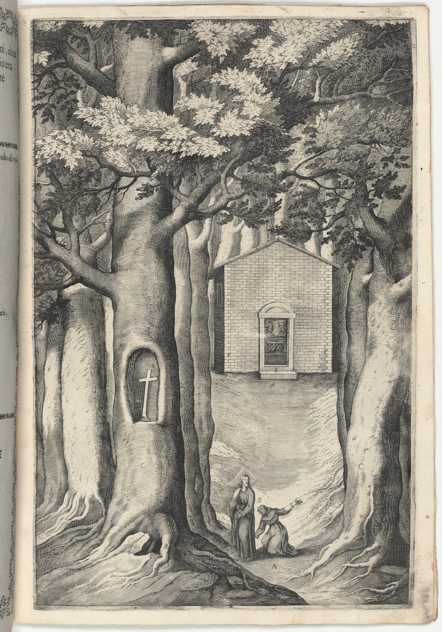Capilla del Beato Juan de La Verna (Cappella del beato Giovanni della Verna) [placa S] de Jacopo Ligozzi