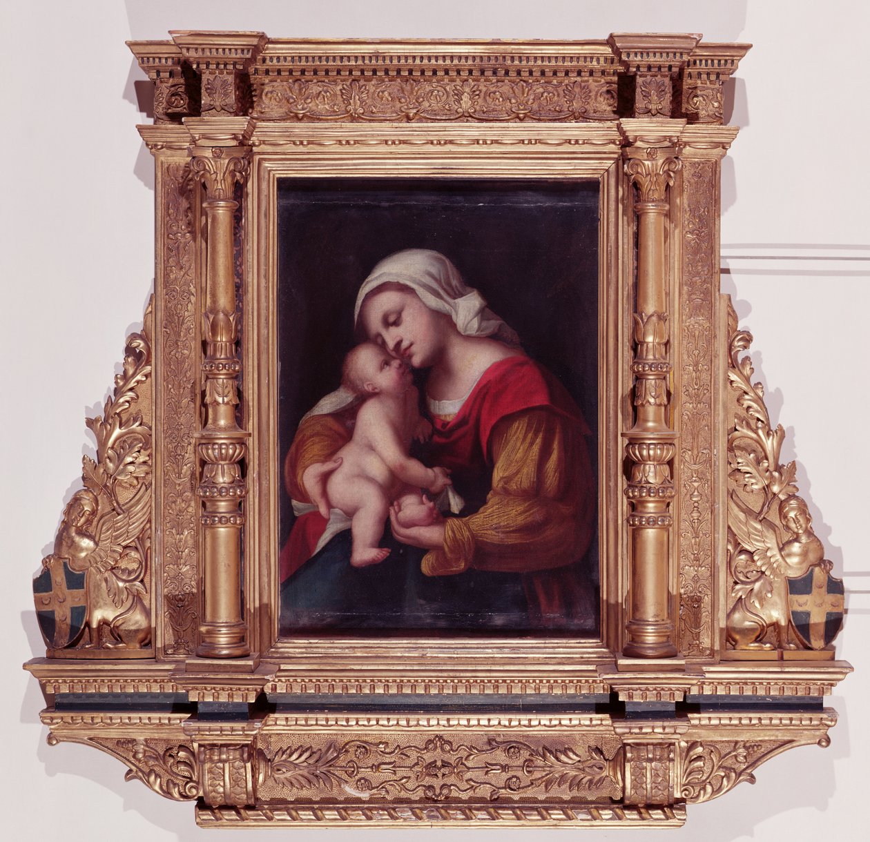Imagen desconocida de Jacopo Palma