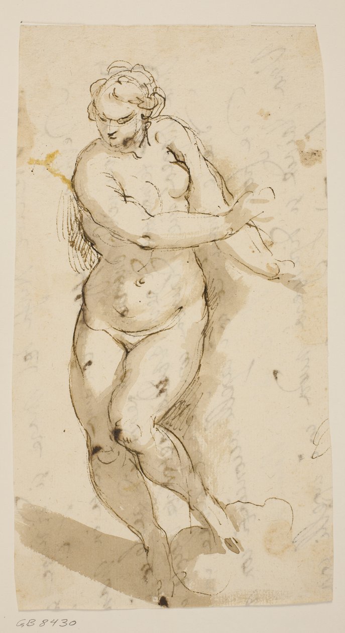 Desnudo femenino caminando de Jacopo Palma