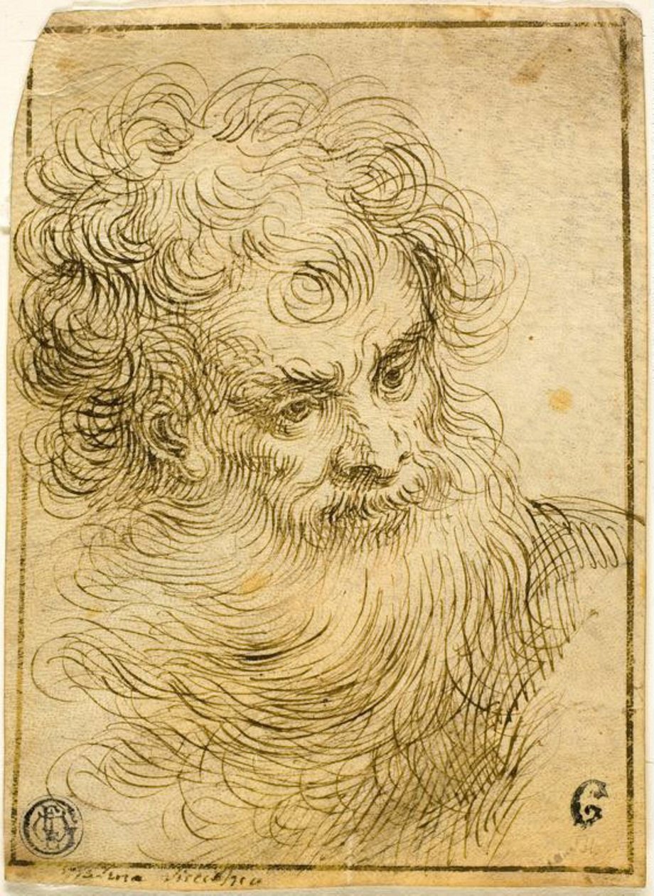 Cabeza de Anciano Barbudo (recto); Boceto Decorativo de Flor y Hojas (verso) de Jacopo Palma il Giovane